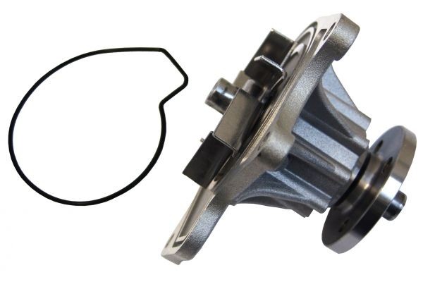 MAPCO Water pump for engine 21561
