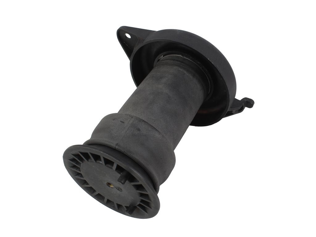 ABAKUS 131-02-110 CITROËN Boot, air suspension in original quality