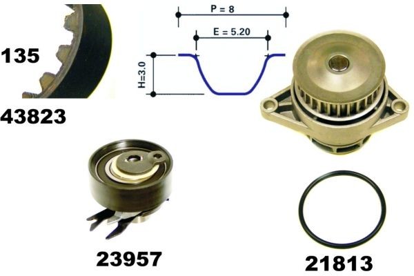Timing belt kit with water pump MAPCO Width 1: 19 mm - 41823