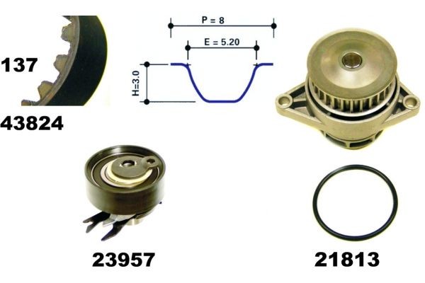 Water pump + timing belt kit MAPCO Width 1: 19 mm - 41824