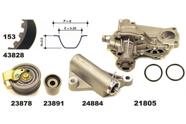 MAPCO 41833 Cambelt and water pump Audi A4 B5 Avant 1.8 T 180 hp Petrol 2000 price