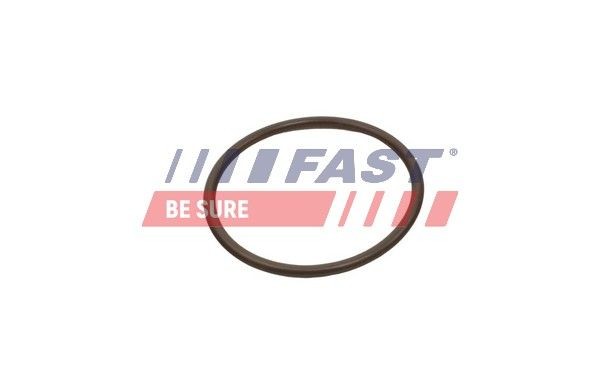 FAST FT49933 FIAT Seal, turbo air hose in original quality