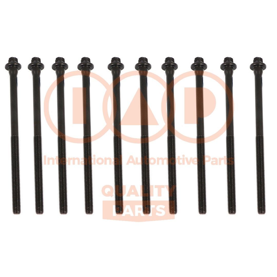 Cylinder head bolts IAP QUALITY PARTS Quantity: 10 pz - 119-52060