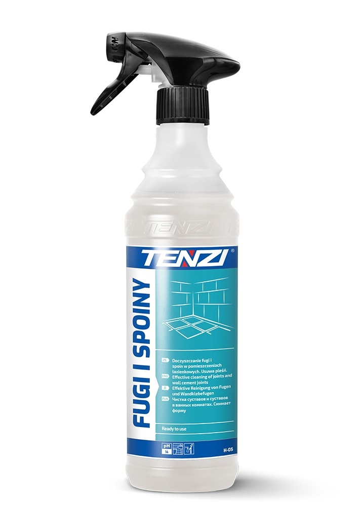 TENZI Grouts and Joints H05600 Industrial Cleaner aerosol, pH 14, H-05, Capacity: 0.6l
