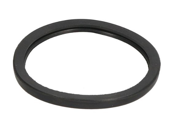 Original 24808.00 LEMA Thermostat gasket experience and price