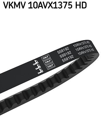 SKF VKMV 10AVX1375 HD V-Belt