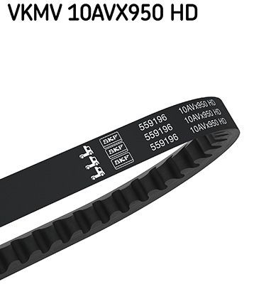 SKF VKMV 10AVX950 HD V-Belt