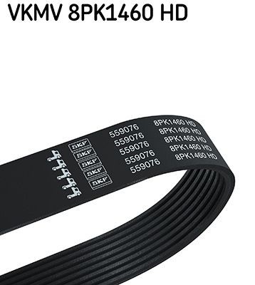 8PK1460 SKF 1460mm, 8 Number of ribs: 8, Length: 1460mm Alternator belt VKMV 8PK1460 HD buy