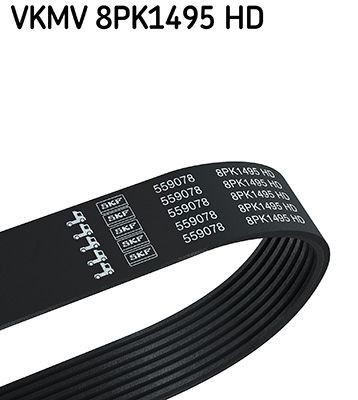 8PK1495 SKF 1495mm, 8 Number of ribs: 8, Length: 1495mm Alternator belt VKMV 8PK1495 HD buy