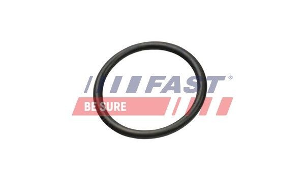 Ford Tourneo Custom Seal, coolant tube FAST FT49927 cheap