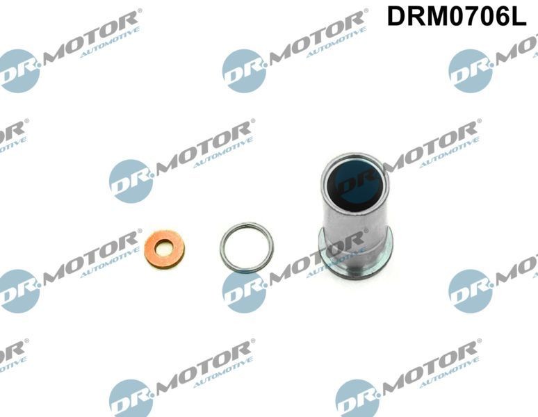 DR.MOTOR AUTOMOTIVE DRM0706L Repair kit, injection nozzle RENAULT KOLEOS in original quality