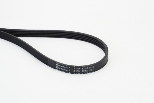 5PK1243 CONTITECH 1245mm, 5 Number of ribs: 5, Length: 1245mm Alternator belt 5PK1245 buy