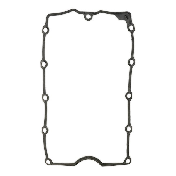 717580 Valve gasket ELRING 717.580 review and test