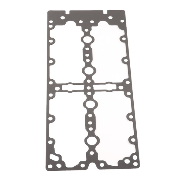 718220 Valve gasket ELRING 718.220 review and test