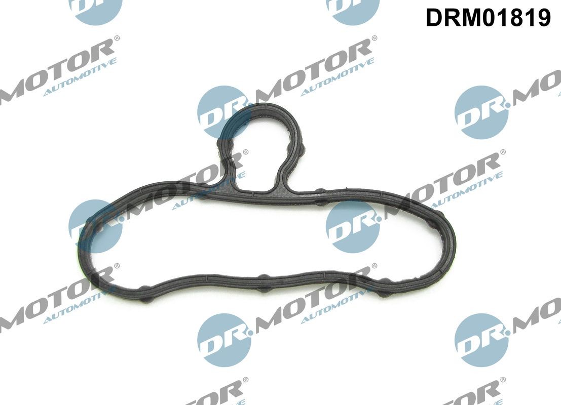 DR.MOTOR AUTOMOTIVE Gasket, timing case cover DRM01819 buy