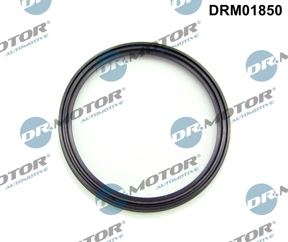 DR.MOTOR AUTOMOTIVE Seal, turbo air hose DRM01850 buy
