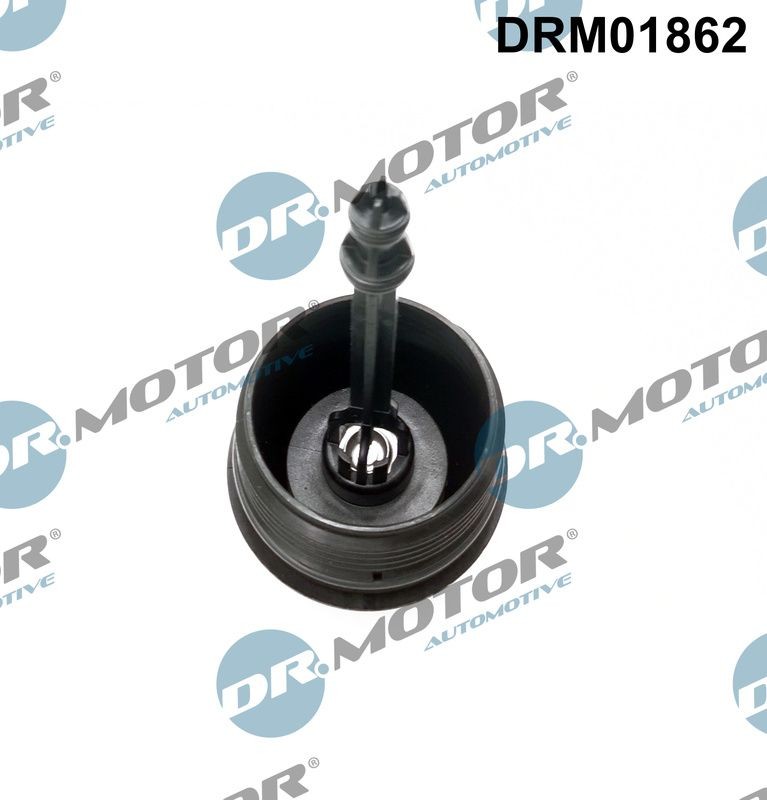 DR.MOTOR AUTOMOTIVE Cover, oil filter housing DRM01862 buy
