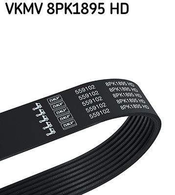 SKF 1895mm, 8 Number of ribs: 8, Length: 1895mm Alternator belt VKMV 8PK1895 HD buy