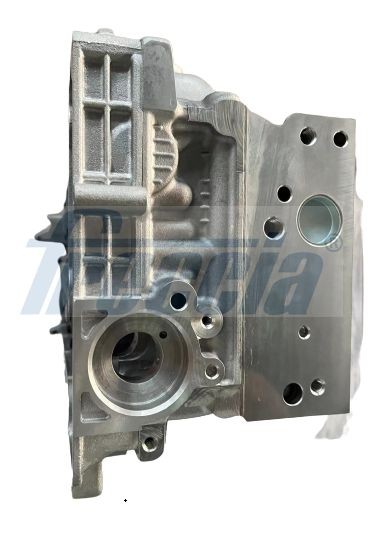 CH17-1057 Cylinder Head CH17-1057 FRECCIA without timing chain (for camshaft), without valve springs, without valves, Euro 6
