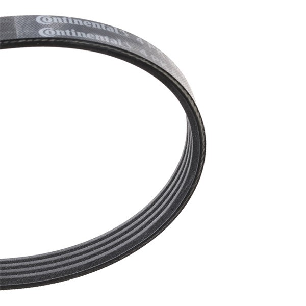 Contitech 4PK850 V-Ribbed Belts 