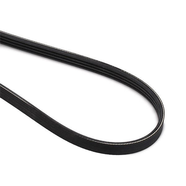 Contitech 4PK855 V-Ribbed Belts 
