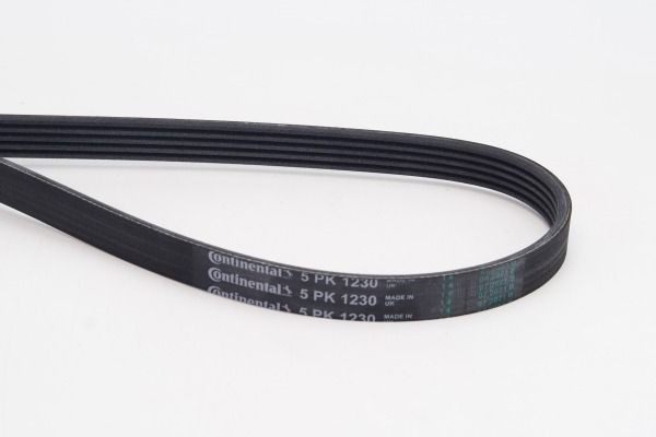 5 PK 1228 CONTITECH 1230mm, 5 Number of ribs: 5, Length: 1230mm Alternator belt 5PK1230 buy