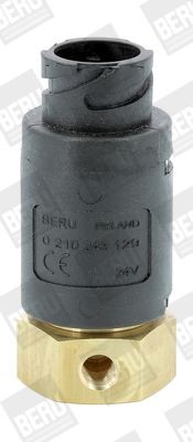 0 210 243 129 BERU Valve, flame starter system MV129 buy