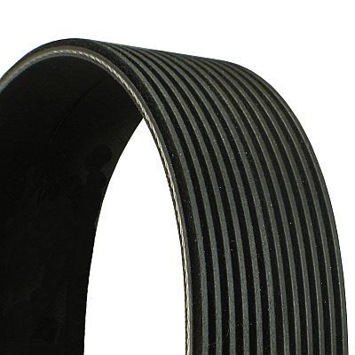 CONTITECH 12PK1580 Serpentine belt 1580mm, 12