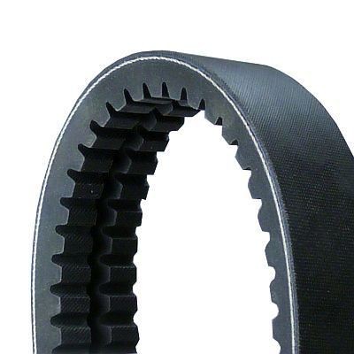 CONTITECH Banded V-Belts 2/XPB1650 buy
