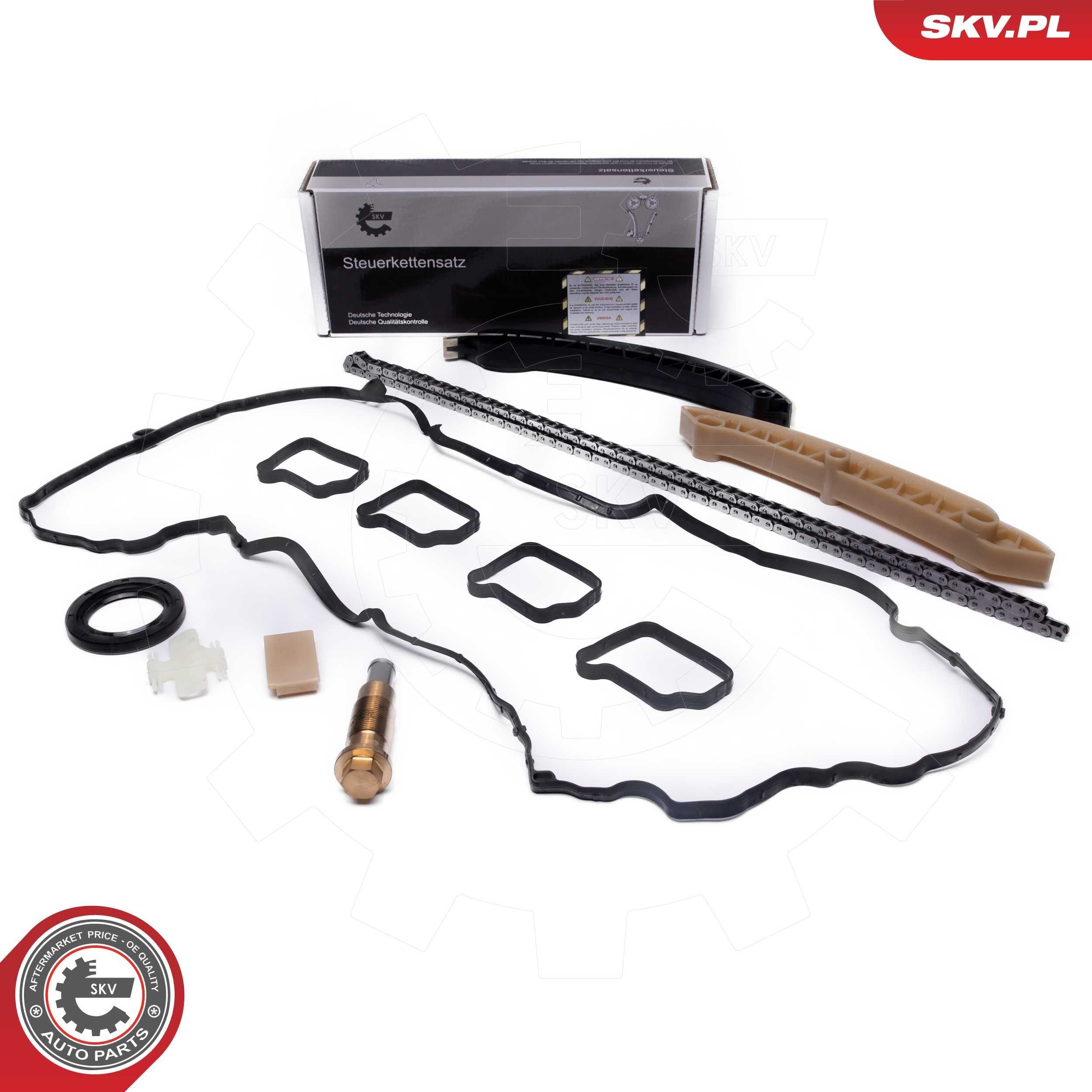 ESEN SKV with gaskets/seals, without gear, Simplex, Bolt Chain Timing chain set 21SKV263 buy