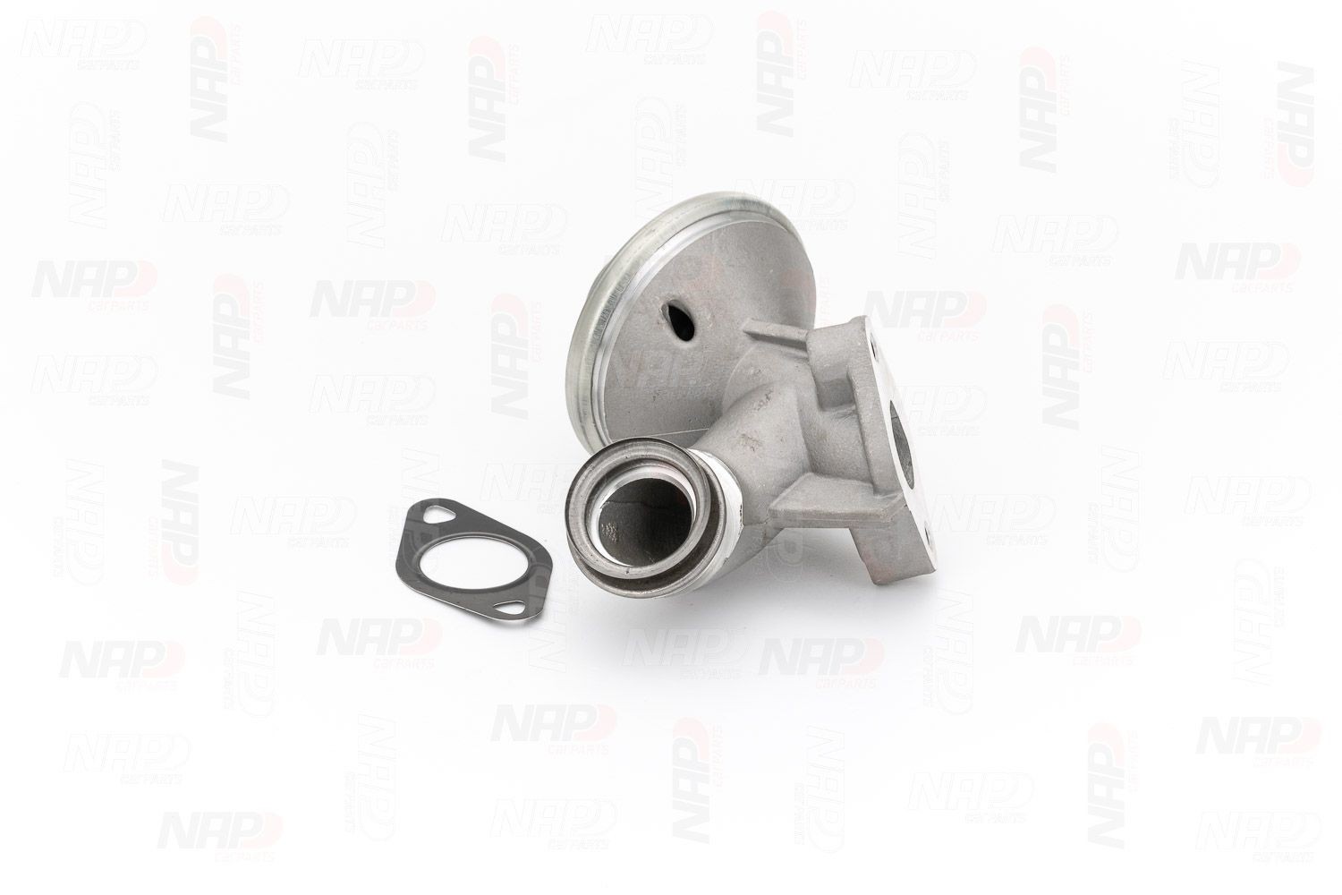 NAP carparts EGR valve CAV10080