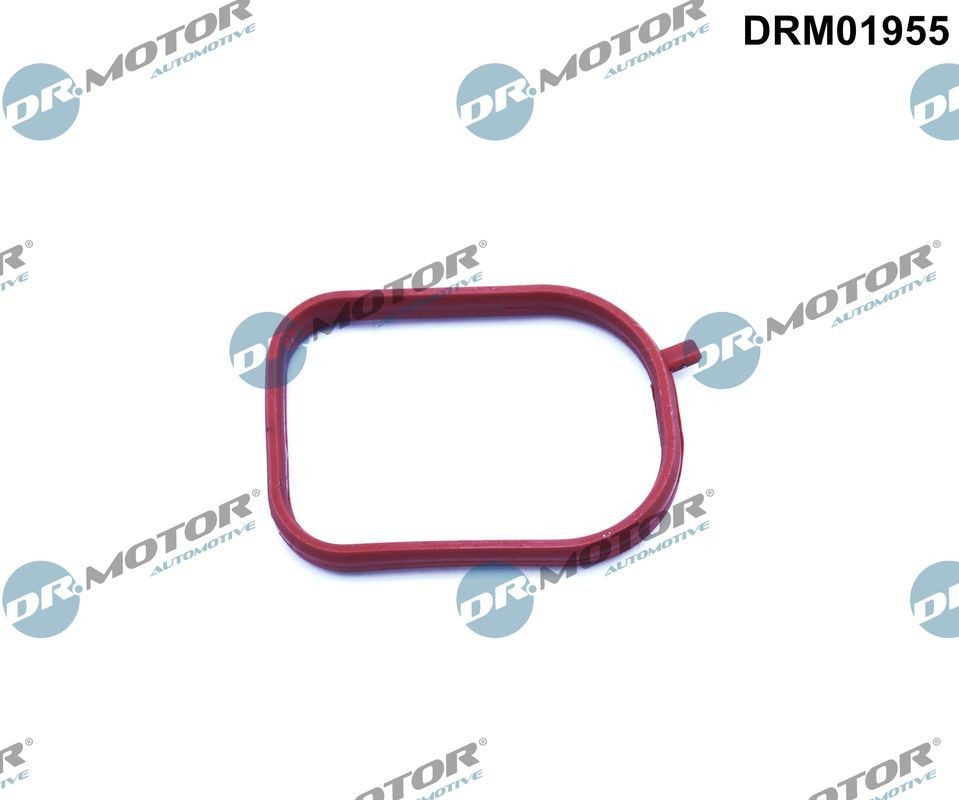 DR.MOTOR AUTOMOTIVE DRM01955 Ford MONDEO 2018 Thermostat gasket