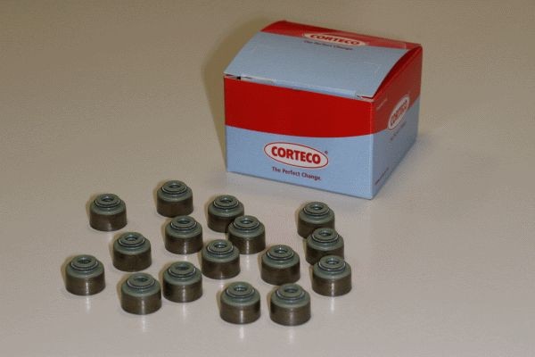 CORTECO FPM (fluoride rubber) Seal Set, valve stem 19036033 buy