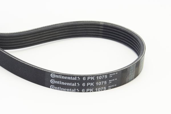 CONTITECH 6PK1075 Serpentine belt 1075mm, 6