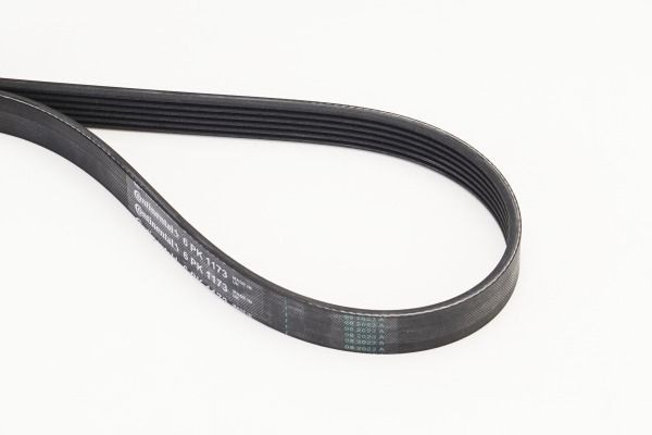 CONTITECH 6PK1173 Serpentine belt 1173mm, 6