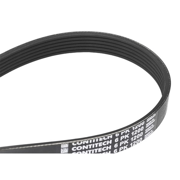 Nissan TERRANO Belt and chain drive parts - Serpentine belt CONTITECH 6PK1200
