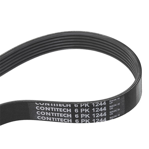 Serpentine belt CONTITECH 6PK1244 - Citroen C4 I Picasso (UD) Belt and chain drive spare parts order
