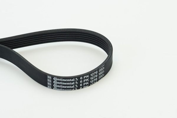 Volvo 440 K Belts, chains, rollers parts - Serpentine belt CONTITECH 6PK1270
