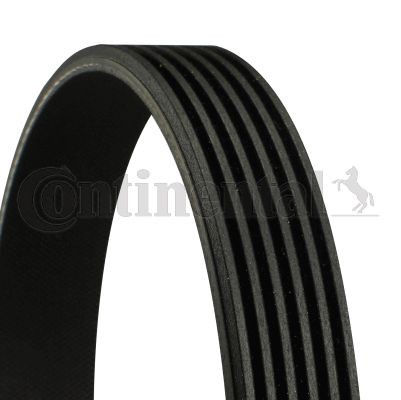 PORSCHE BOXSTER 2015 replacement parts: V-ribbed belt CONTITECH 6PK1767 at a discount — buy now!