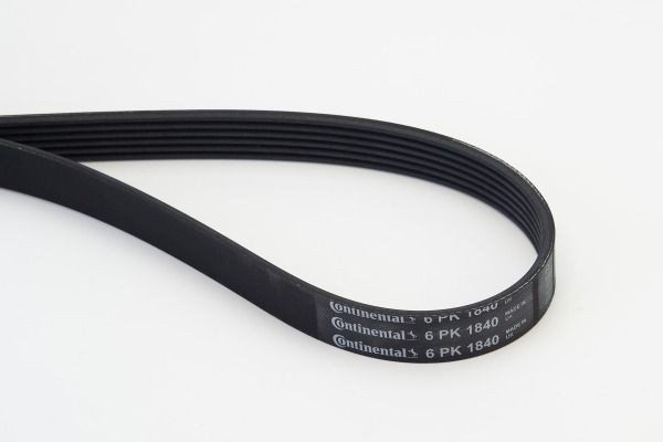 6 PK 1838 CONTITECH 1840mm, 6 Number of ribs: 6, Length: 1840mm Alternator belt 6PK1840 buy