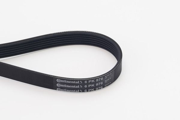6PK976 Auxiliary belt CONTITECH 6 PK 974 review and test