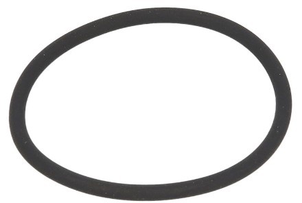 Iveco Daily 4 Fasteners parts - Seal Ring IVECO 500324249