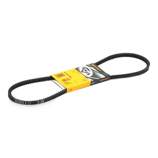 Opel VECTRA Vee-belt 211152 CONTITECH AVX10X1000 online buy