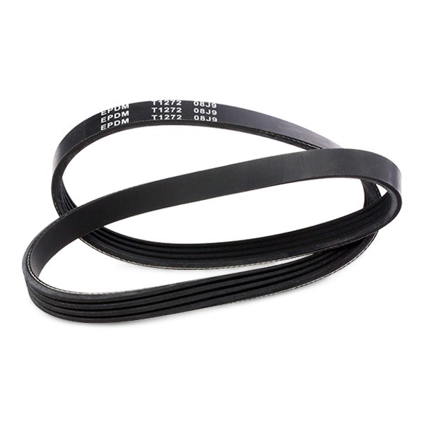 0500040845 Auxiliary belt MEYLE MRB0088 review and test