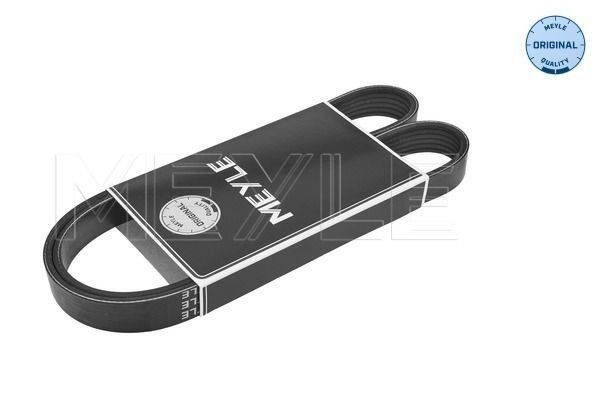 Volkswagen TOURAN Ribbed belt 2114802 MEYLE 050 006 1090 online buy