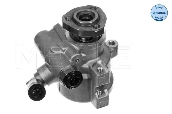 Volkswagen PASSAT Hydraulic steering pump 2117871 MEYLE 114 631 0013 online buy