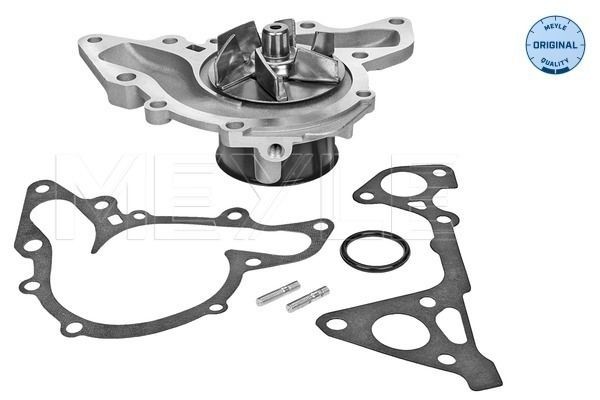 MEYLE 32-13 097 0007 Water pump CHRYSLER experience and price