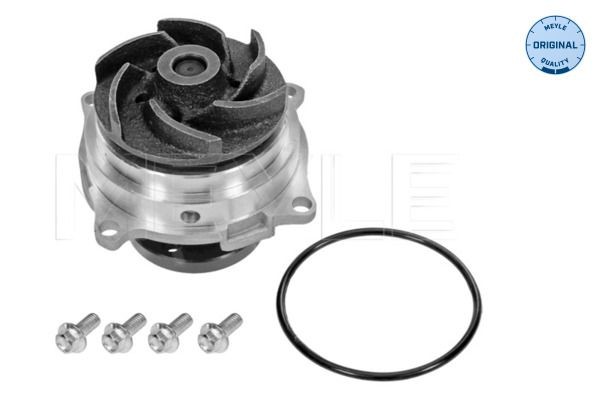 Ford TRANSIT CONNECT Engine water pump 2123897 MEYLE 713 220 0002 online buy