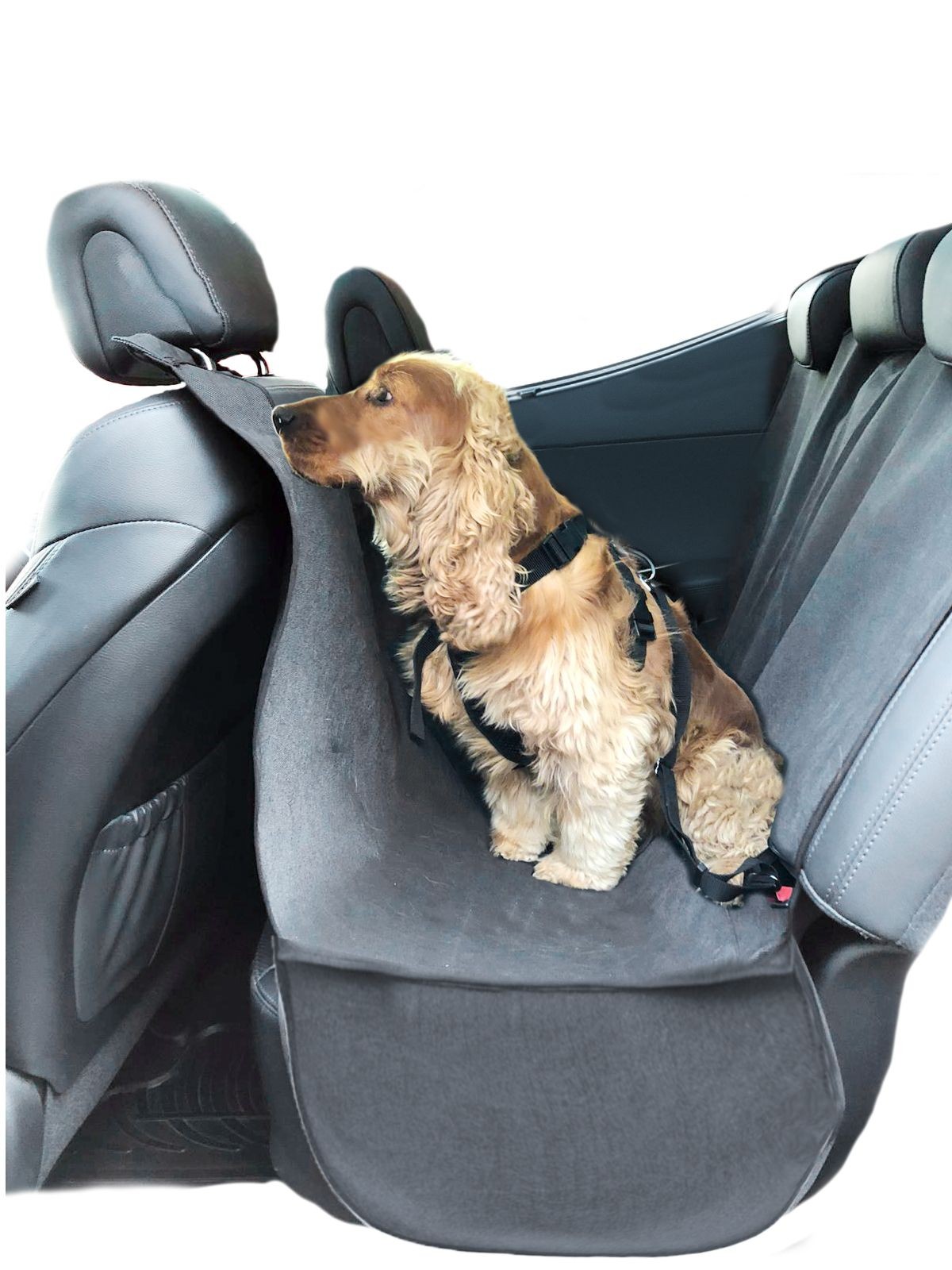 housse de protection pour coffre contre les poils de chien. Housses de  protection pour sièges et coffre de voiture et autres véhicules.