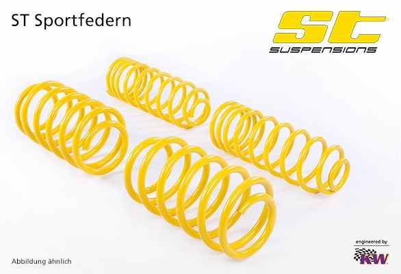 STsuspensions 28220224 Suspension kit, coil springs BMW 3 Compact (E46) 316ti 1.6 105 hp Petrol 2002 price